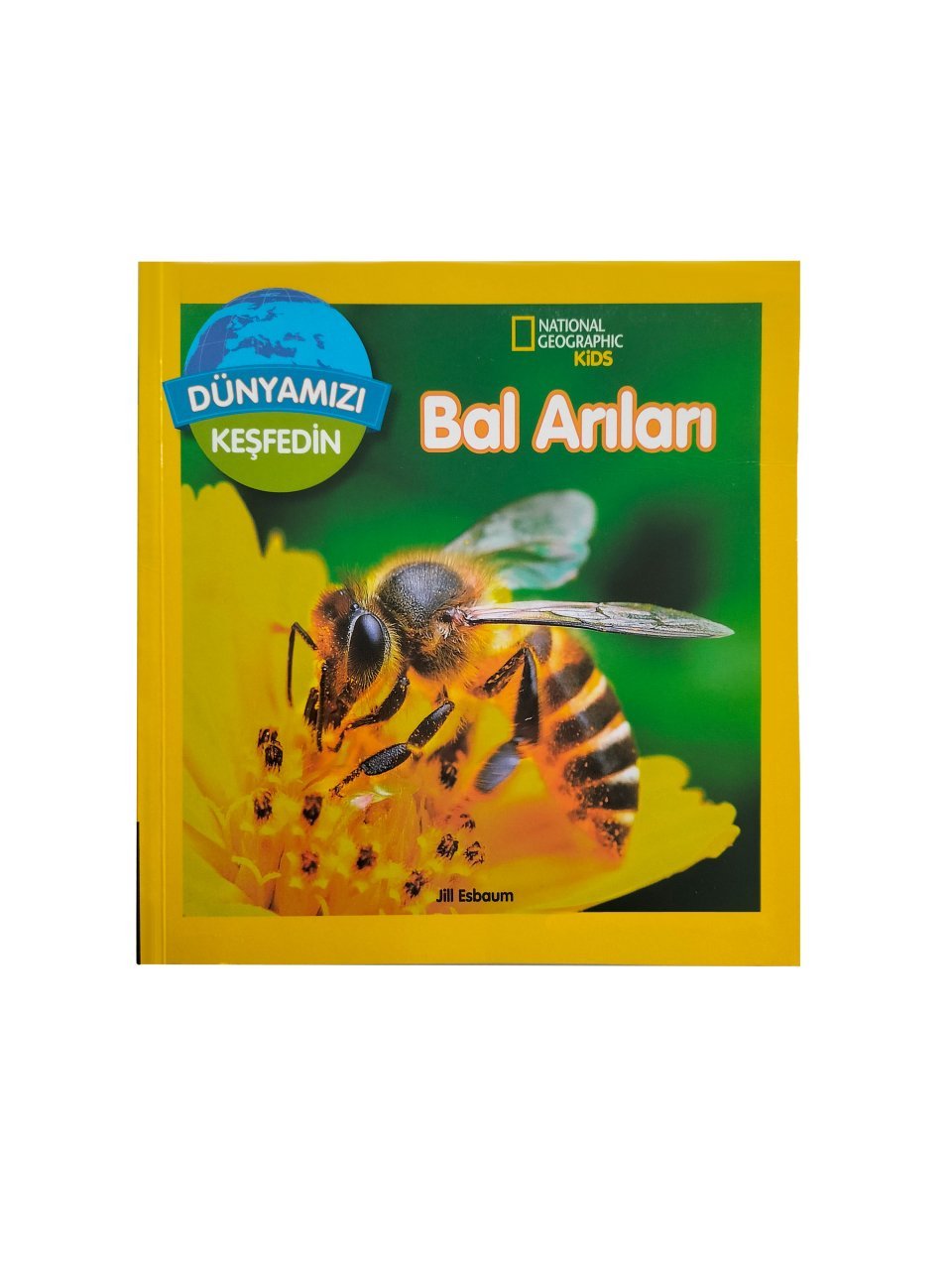 Dünyamızı Keşfedin / Bal Arıları - National Geographic Kids